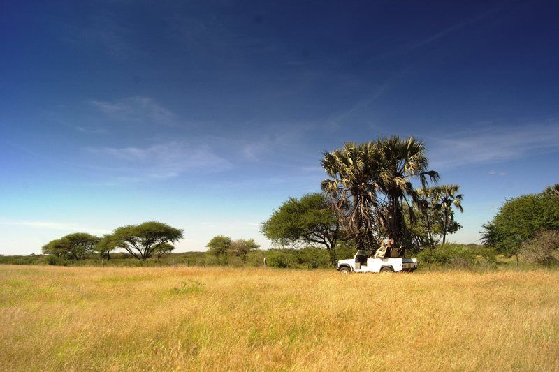 Dornhuegel Guestfarm Hotel Grootfontein Eksteriør billede