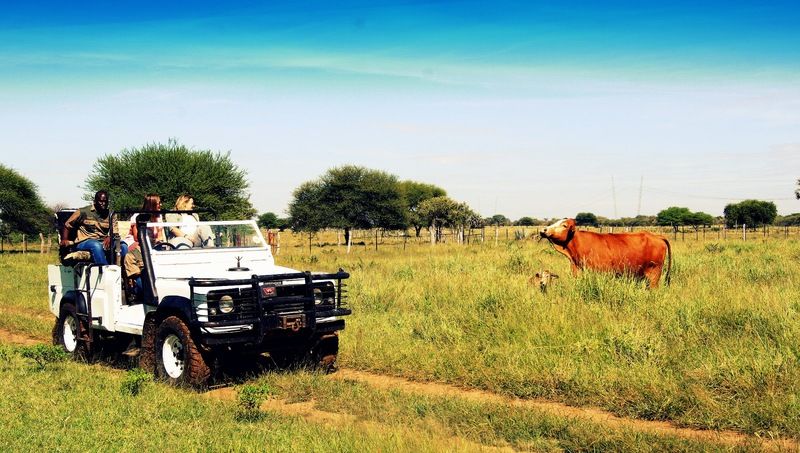 Dornhuegel Guestfarm Hotel Grootfontein Eksteriør billede